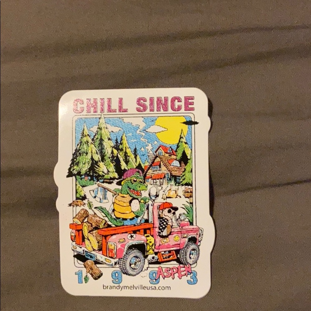 Bundle of brandy Melville stickers